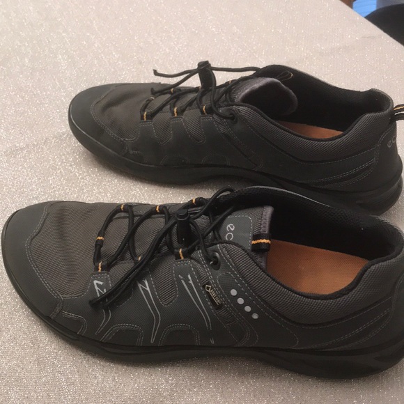 shoe size 45 is equal to